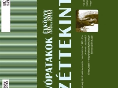 Búvópatakok - Széttekintés. Évkönyv XIX. 2013